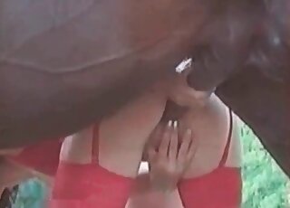 عاهرة زوفيلية ترتدي جوارب حمراء تلعب بعمود حصان منتصب