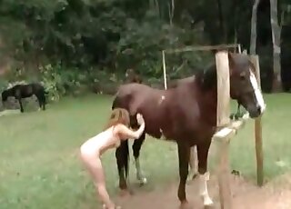 Two curvy zoophile sluts can't wait to get fucked by that aroused stallion