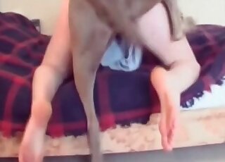 Homemade zoo porn with a nasty babe that gets nailed by a dog