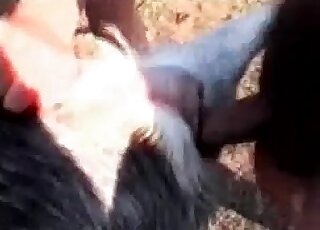 Kinky dude doesn't mind fucking with a dog and unloading his nuts