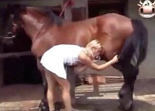 Compilation of hot blowjob sessions performed during kinky zoo porn