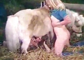 Two zoophile sluts make out with a horse and suck its huge pecker