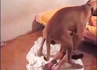 Big doggie stuffs its hard cock deep inside wet cunt of a zoophile babe