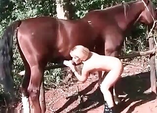 Blonde lady bends over as she takes a stallion's cock from behind