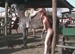 حيوان محب للحيوانات ذو الشعر الأحمر يئن بصوت عالٍ لجذب انتباه الحيوان