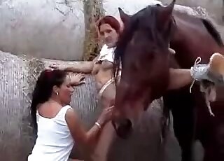 Filthy whores love getting fucked by a huge cock of a horse