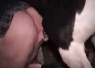 Mature slut with a tattooed butt craves for a stallion’s long dick