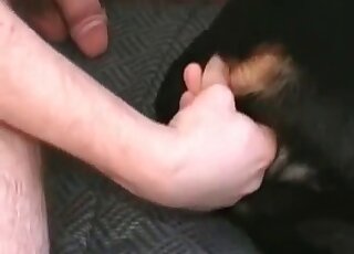 Dude fists a dog’s ass and then fucks the horny animal insanely