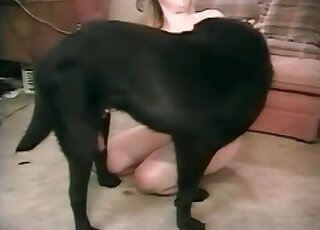 Blonde lady goes filthy with a black dog in a zoophilia scene