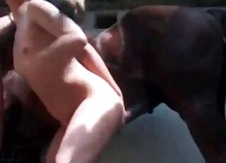 Skinny sluts enjoy fucking with a horse in open air