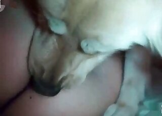 Long-haired wife treats her passion to zoo sex with her horny dog