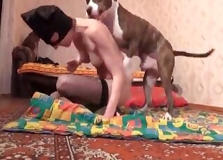 لا يمكن للكلب الانتظار لممارسة الجنس مع عاهرة مقنعة في فيلم إباحي محلي الصنع في حديقة الحيوانات