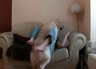 Fluffy dog finds a horny girl’s pussy really perfect for a hot fuck