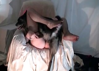 سيدة شريرة تسمح لكلبها بالاستكشاف وتحطيم فرجها المتلهف للقضيب