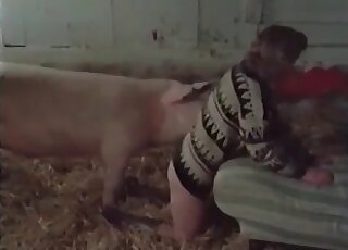 Huge boar fucks a skinny slut in a doggystyle and missionary poses
