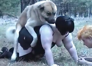 Two fat-assed mature whores enjoy sex with their dogs in the park