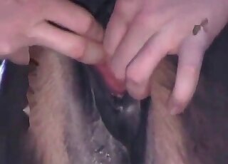 Awesome zoophile dude fingers animal’s hole in a wild zoo porn scene