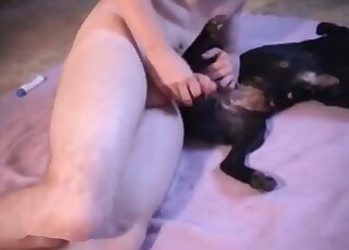 Nasty zoophile dude loves the presence of his dong in his dog’s hole