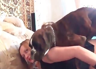 Filthy MILF in heels likes getting pussy fucked by her dog from behind