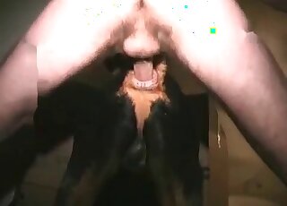 Dirty-minded zoophile hammers his dog’s hole really mercilessly