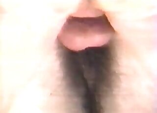 Bestiality addicted guy fucks a horse and gets a lot of pleasure