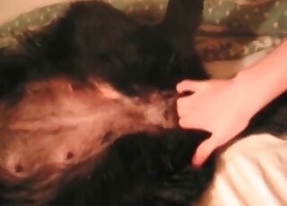 Wanker explores his female dog’s pussy with fingers in a hot scene