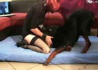 Cum-thirsty bitch fucks with a dog in order to get some sperm
