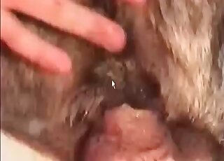 Perverted dude cannot get enough of fucking animal’s huge hole