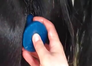 Pervert toys a horse with a dildo in a mind-blowing zoo porno action