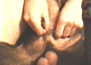 منحرف يمارس الجنس مع كلبه في مهبل ضيق دون أن يتعب