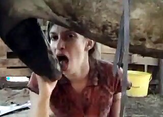 Filthy whore looks happy while sucking massive shaft of a horse