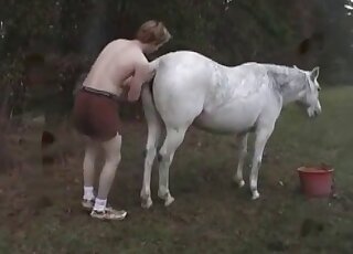 Horny fellow feeds a horse and fucks it hard at the same time