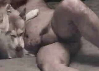 Nasty fucker makes love with a dog in the bedroom in zoophilia action