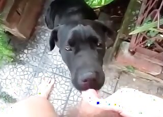 Lovely man with a hard cock seducing black animal in zoo XXX