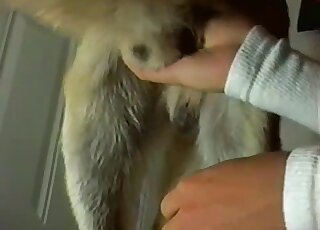 Closeup handjob scene showing a gorgeous dog cock from free porn