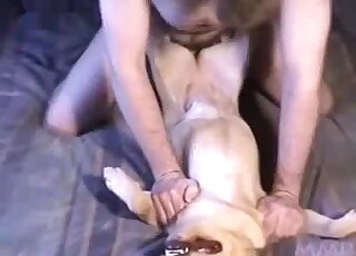 Missionary dog fuck scene with a hairy guy that fucks real nice