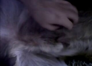 Hot animal lover enjoying the most passionate closeup zoophilia action