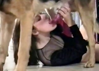 امرأة سمراء ترتدي ملابس سوداء تضع قضيب الكلب في فمها بسعادة