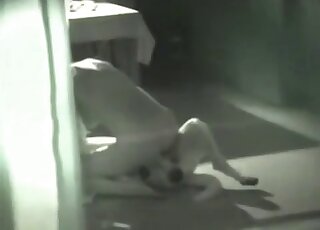 سيدة ذات مهبل أصلع تركب كلبًا على الأرض للوصول إلى النشوة الجنسية