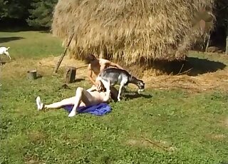 Outdoor threesome zoophilia scene with a dog that fucks brutally