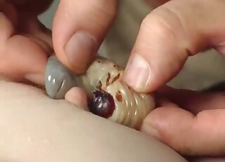 Nasty zoophilia video with snail for a brunette babe